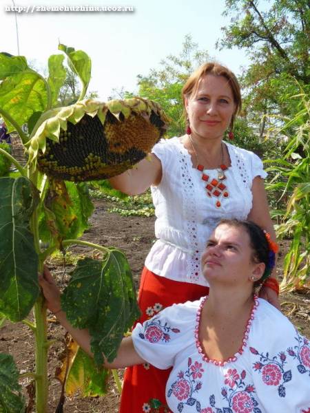 11 июля Фестиваль семейных пар «Древо жизни» в Атамани